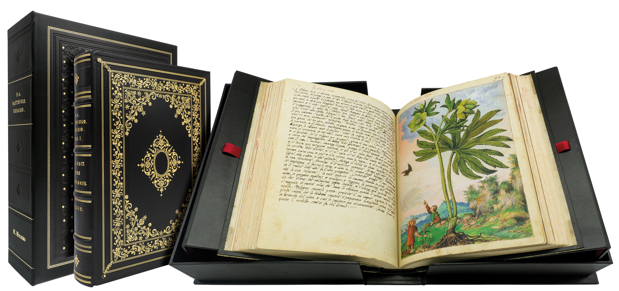 'El gabinete de las maravillas. Códices ilustres (s.VIII-XVI)'
