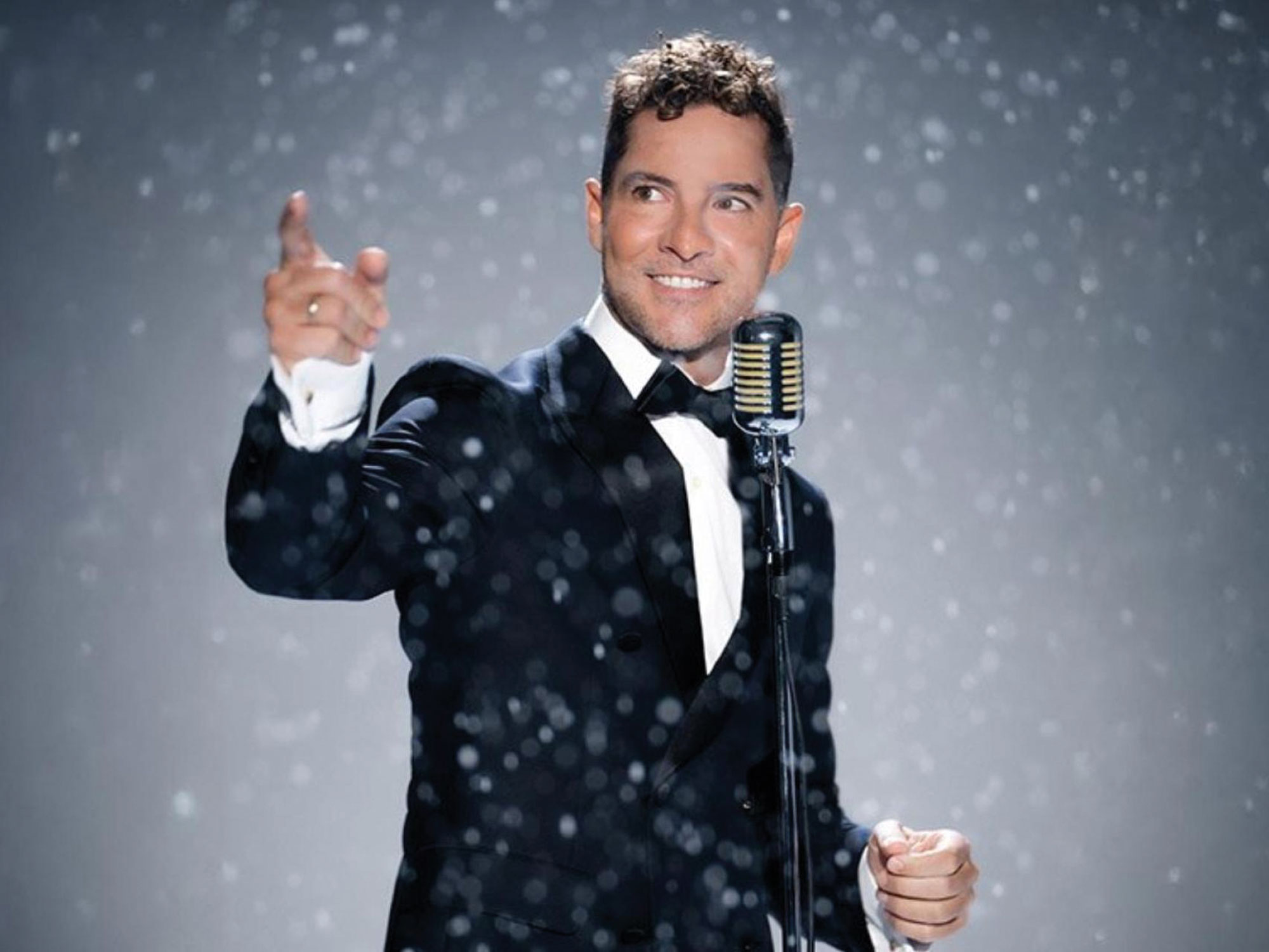 David Bisbal en concierto