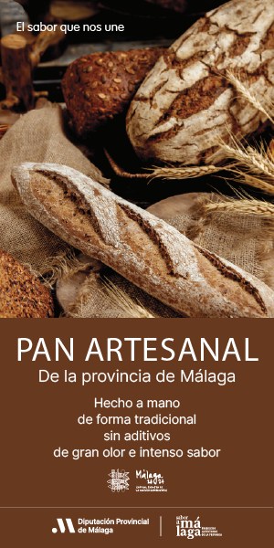 PanArtes_eldiario.es_300x600